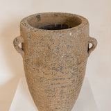 Alsephina (bronze) 15" x 8”
