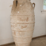 Regulus (small) 44" x 20"