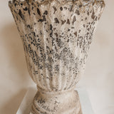 Leonis 20" x 14"