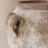 Regulus (sand) 50" x 25"