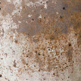 Regulus (sand) 50" x 25"