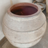Samson 29" x 26"