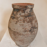 Algedi (terra brown) 12 x 9"
