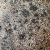 Saiph 8" x 6"