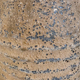Alsephina (bronze) 15" x 8”