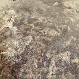 Haedi (terra brown) 5" x 8"