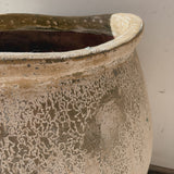 Avior (large) 35" x 29"