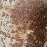 Lumosia (terra brown) 9” x 7”