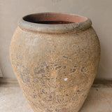 Sirius (medium) 27" x 18"