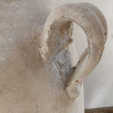 Regulus (large) 50" x 25"