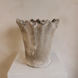Apolline 9" x 9"