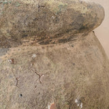 Zosma (moss) 28" x 18"