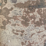 Algedi (terra brown) 12 x 9"