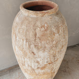 Atria 47" x 25”