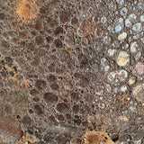 Alsephina (rust) 15" x 8”
