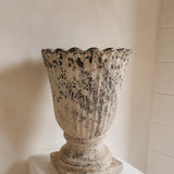 Leonis 20" x 14"