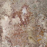 Atria 47" x 25”