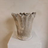 Apolline 13" x 13"