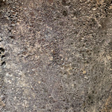Virgo (large) 7” x 24”