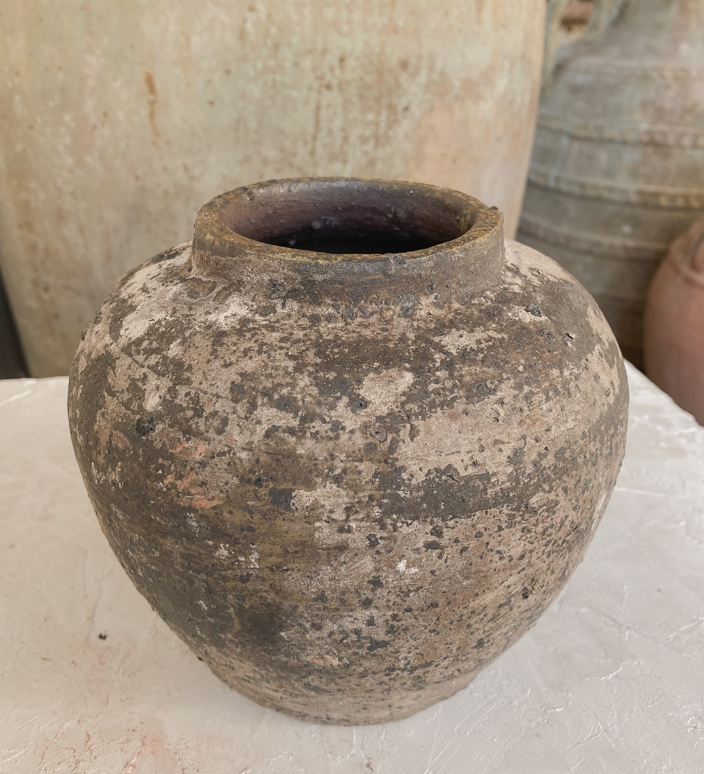 Hadar 6" x 6.3"