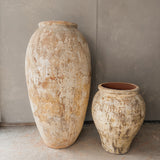 Atria 47" x 25”