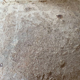 Antila (beige) 7" X 8"