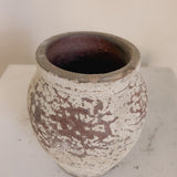 Halley (terra brown)  6" x 5.5"