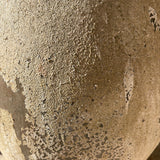 Avior (small) 21" x 17"