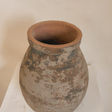 Algedi (terra brown) 12 x 9"