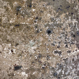 Imai (smoke) 10" x 10"