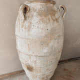 Regulus (sand) 50" x 25"