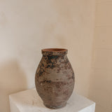 Algedi (terra brown) 12 x 9"