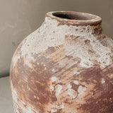 Lumosia (terra brown) 9” x 7”