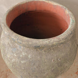 Zosma (moss) 28" x 18"