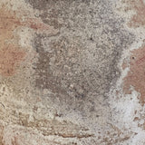 Algedi (sand) 12 x 9"