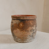 Pavo (sand) 5" x 6"