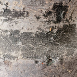 Castula (black-small) 6" x 6"