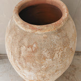 Atria 47" x 25”