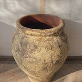 Zosma 28" x 18"