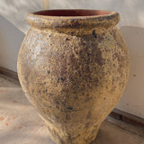Zosma 28" x 18"