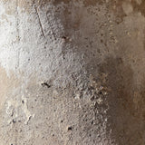 Aludra 31" x 26"