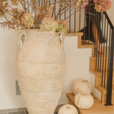 Regulus (sand) 50" x 25"